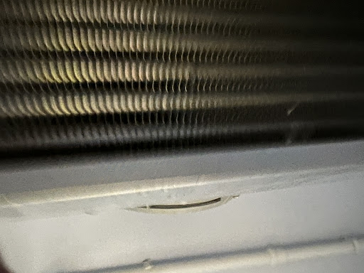 Photo from customer review